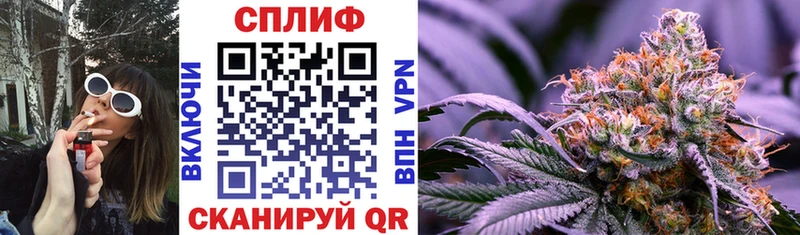 закладка  Княгинино  Конопля план 